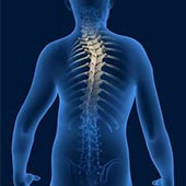Spine Deformities