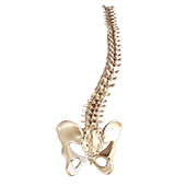 Spine Deformity Surgery